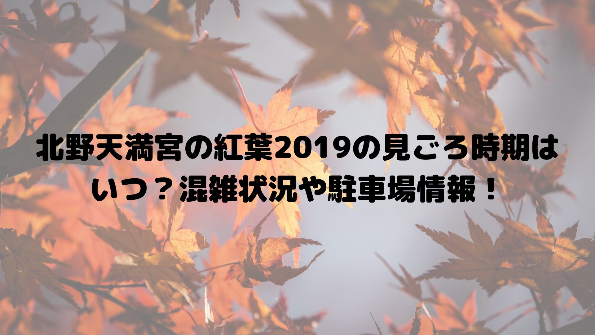 北野天満宮の紅葉19の見ごろ時期はいつ 混雑状況や駐車場情報 Happy Life